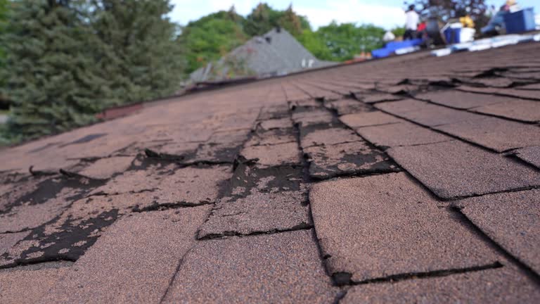 Best Roof Leak Repair  in Oceanside, CA