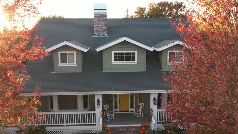 Best Chimney Flashing Repair  in Oceanside, CA